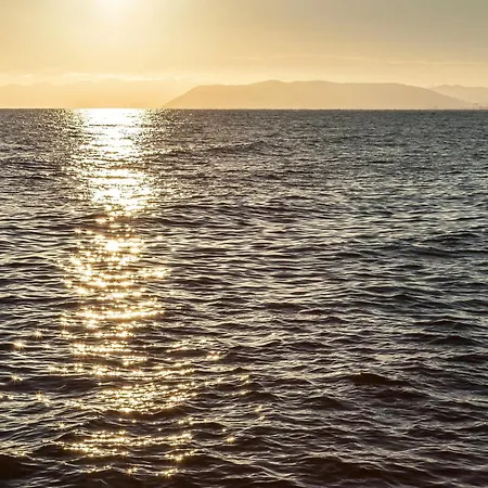 La Casetta Di Mity - * Viareggio
